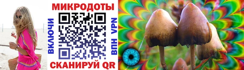Галлюциногенные грибы мухоморы  Канск 
